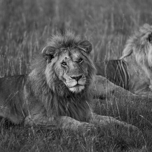 nayoloi africa pic 10