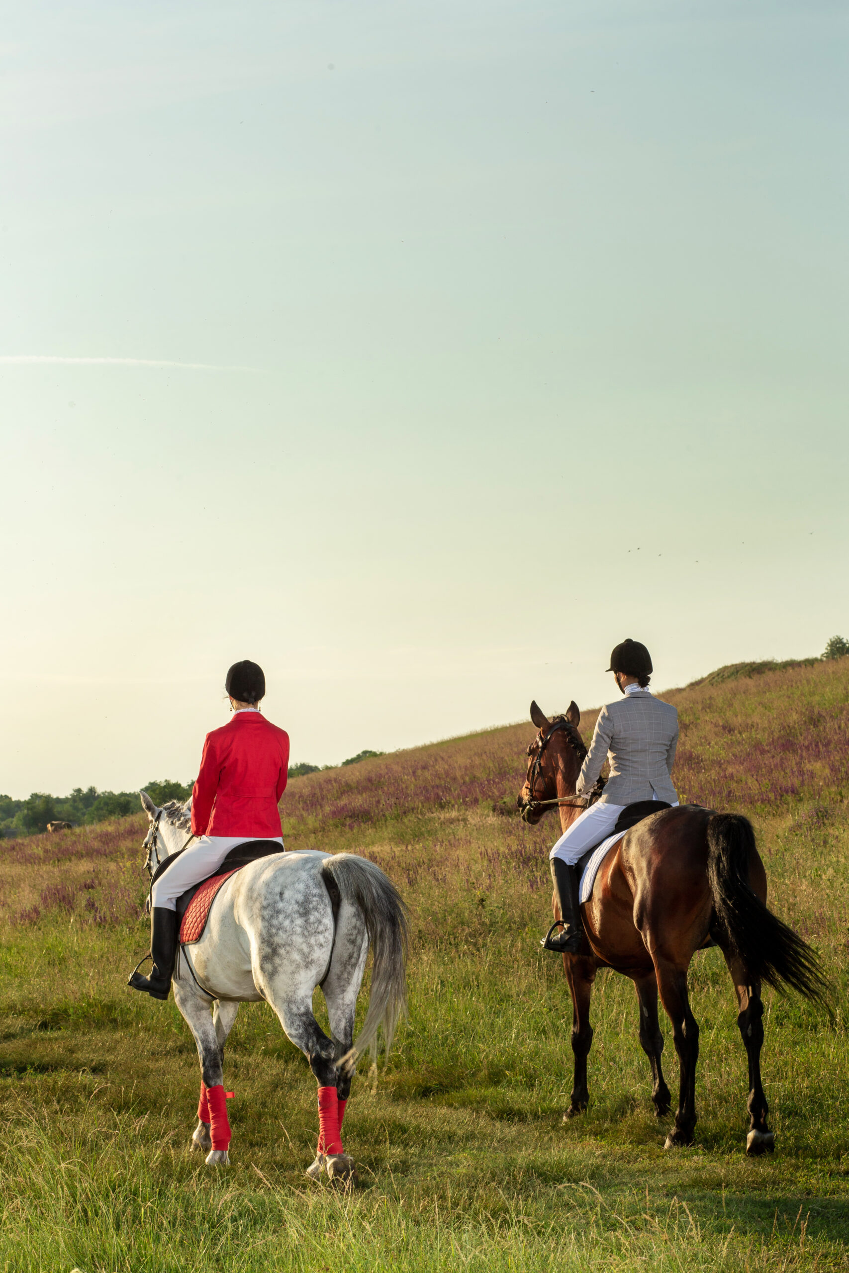 two young women riding horse in park. horse walk in summer